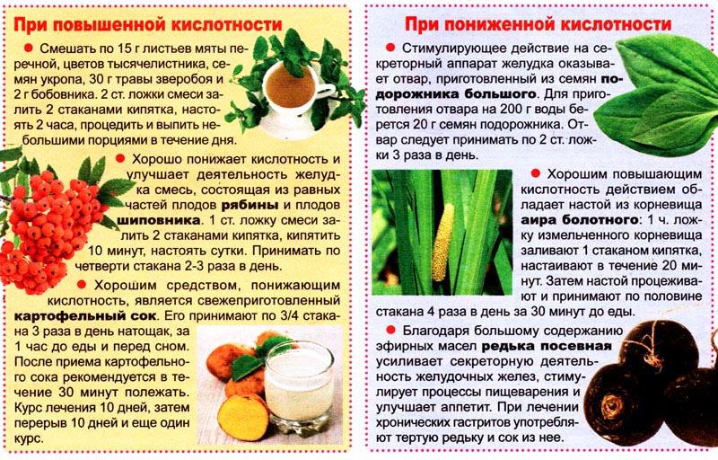 Влияние плодов шиповника на артериальное давление: понижают или повышают
