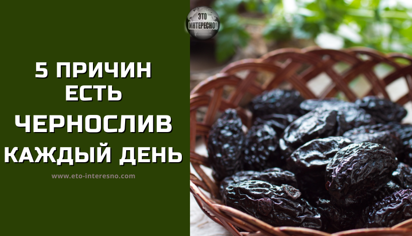 Отвар из чернослива для малыша и взрослого - чистка во имя здоровья
отвар из чернослива для малыша и взрослого - чистка во имя здоровья