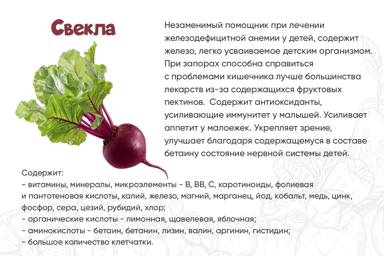 Лук в прикорм: когда вводить, с какого возраста, польза и вред для ребенка