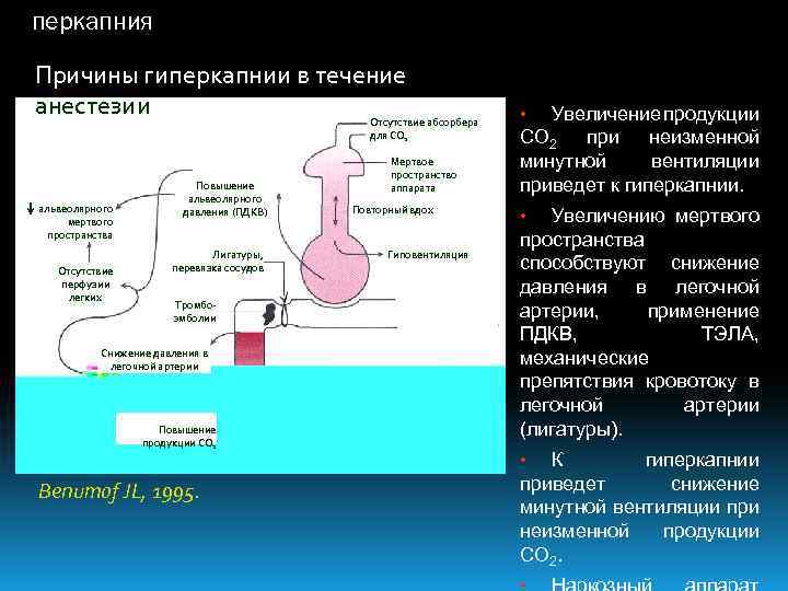 Гиперкапния: как предупредить трагедию?