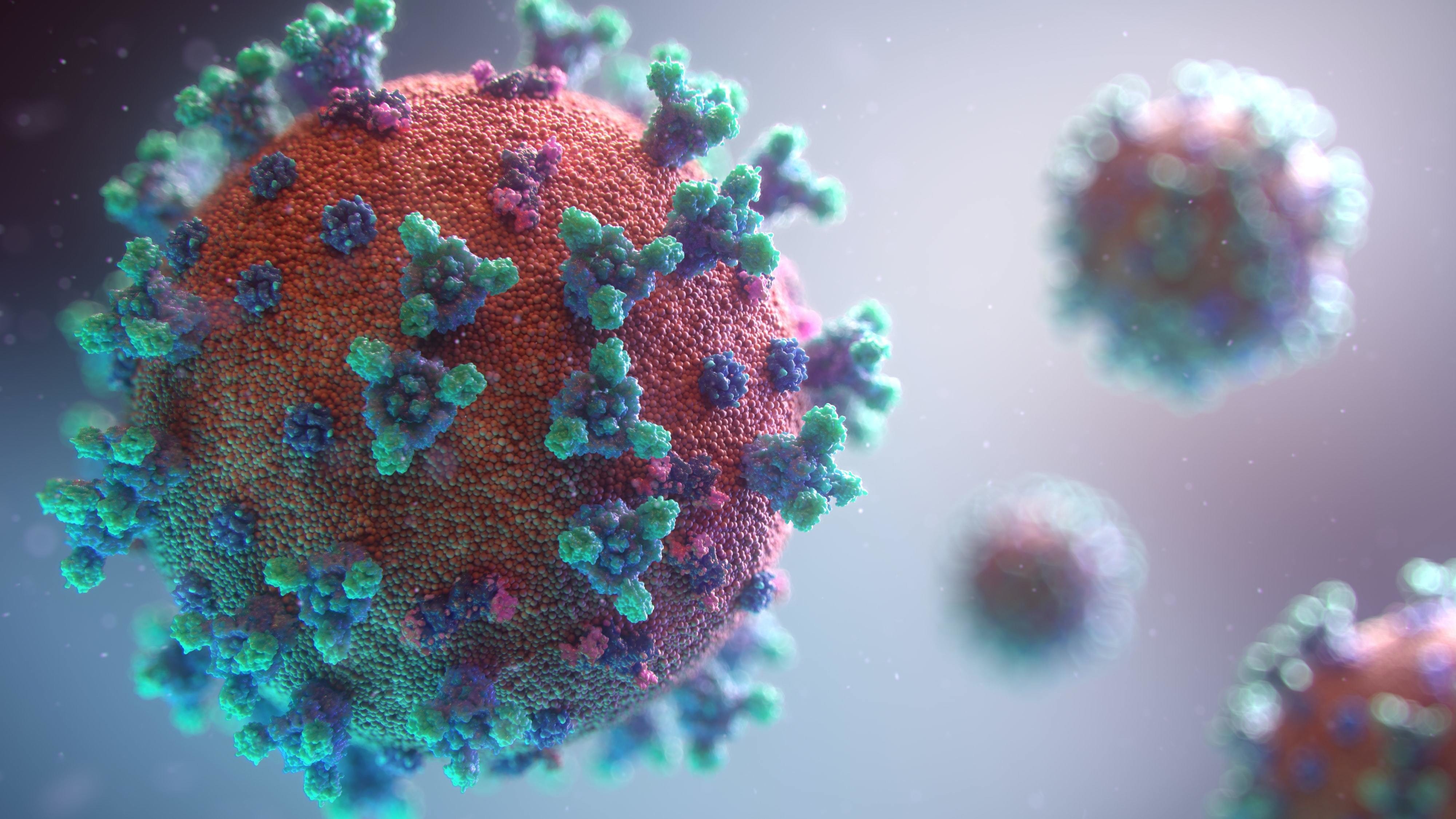 Ученые из ornl разработали молекулу, которая нарушает механизм заражения коронавирусом sars-cov-2
