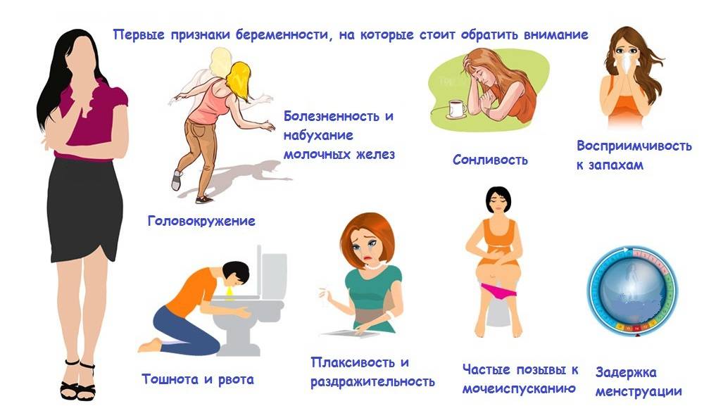 Признаки беременности на ранних сроках (до задержки, вероятные и достоверные)