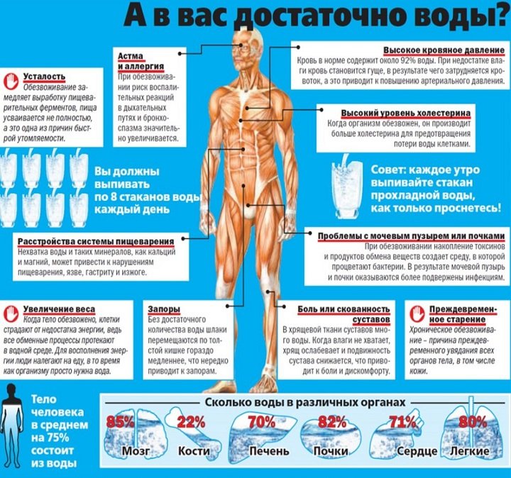 Обезвоживание – насколько это опасно?