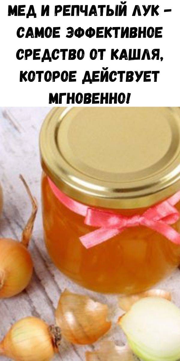 Лук с медом от кашля: рецепты для детей и взрослых