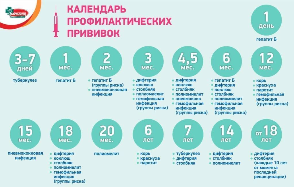 Календарь прививок - кому, когда и зачем нужно проходить вакцинацию