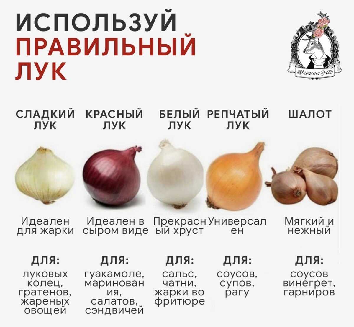 Польза и вред лука для ребенка, когда и как вводить его в питание Народные средства от кашля и насморка, как выбирать, что значит, если ребенок ест много лука