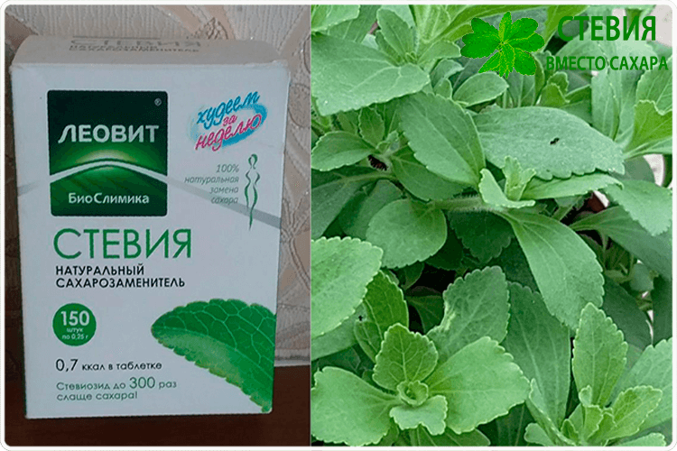 Стевия - вред и польза, сто такое натуральный сахарозаменитель.