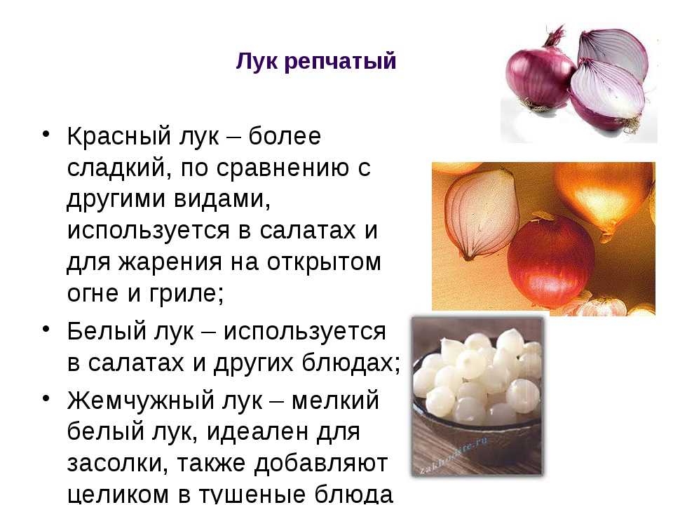 Лук детям сырой вареный репчатый зеленый как лекарство