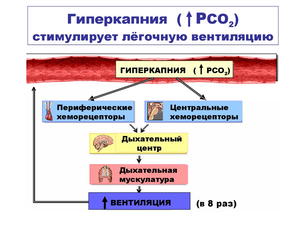 Дыхательная недостаточность у детей и взрослых - виды, причины, симптомы, диагностика, лечение