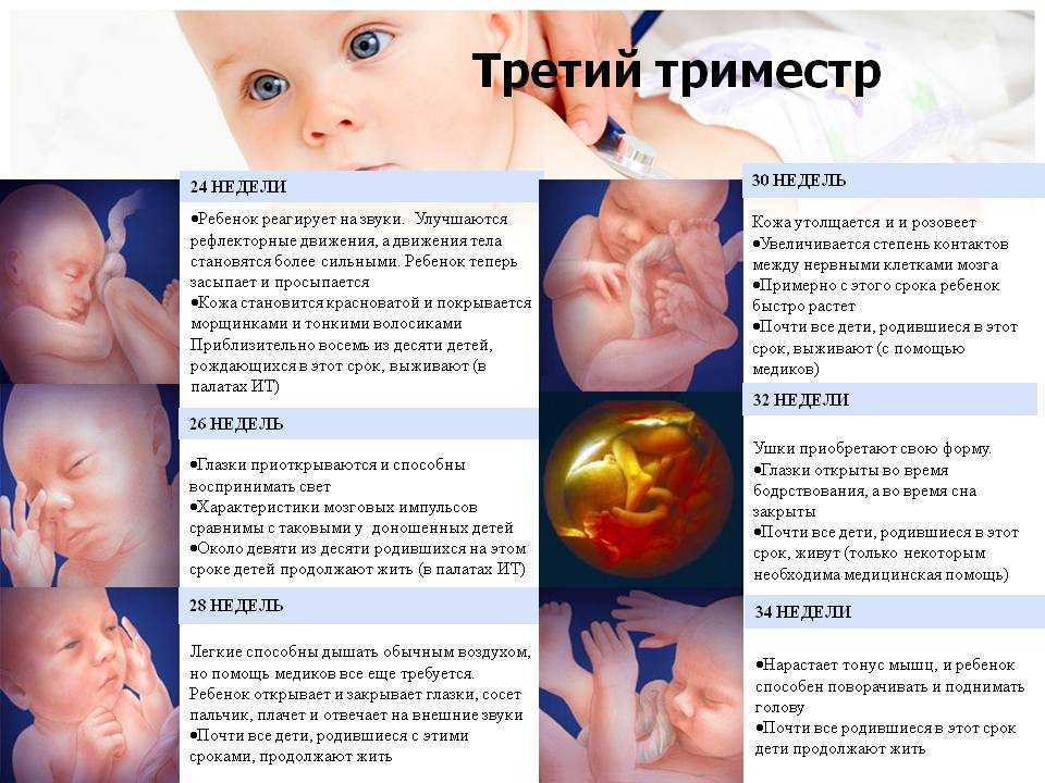 30 неделя беременности - узнайте признаки, симптомы, ощущения на данной неделе