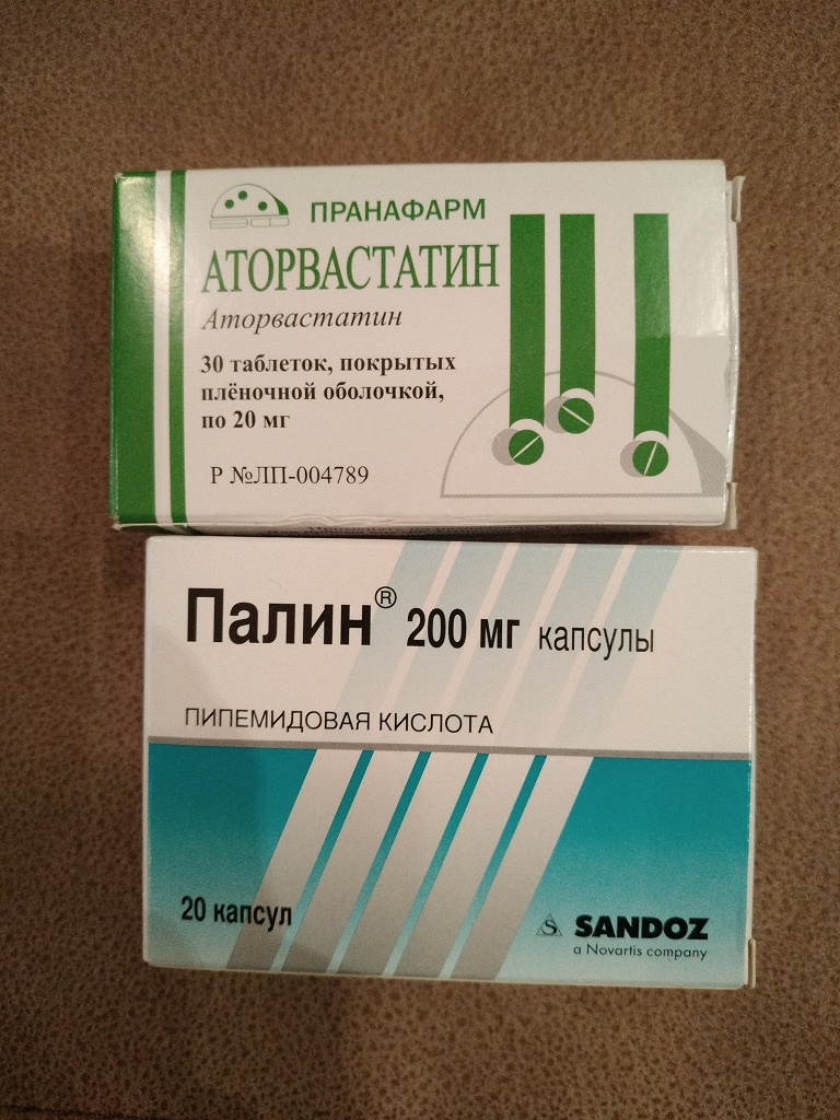 Палин – инструкция по применению при цистите